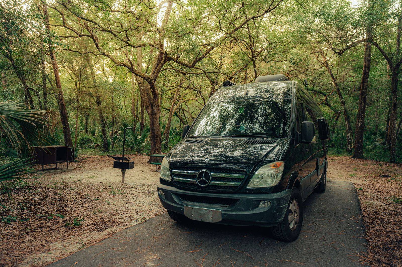 Executive Sprinter